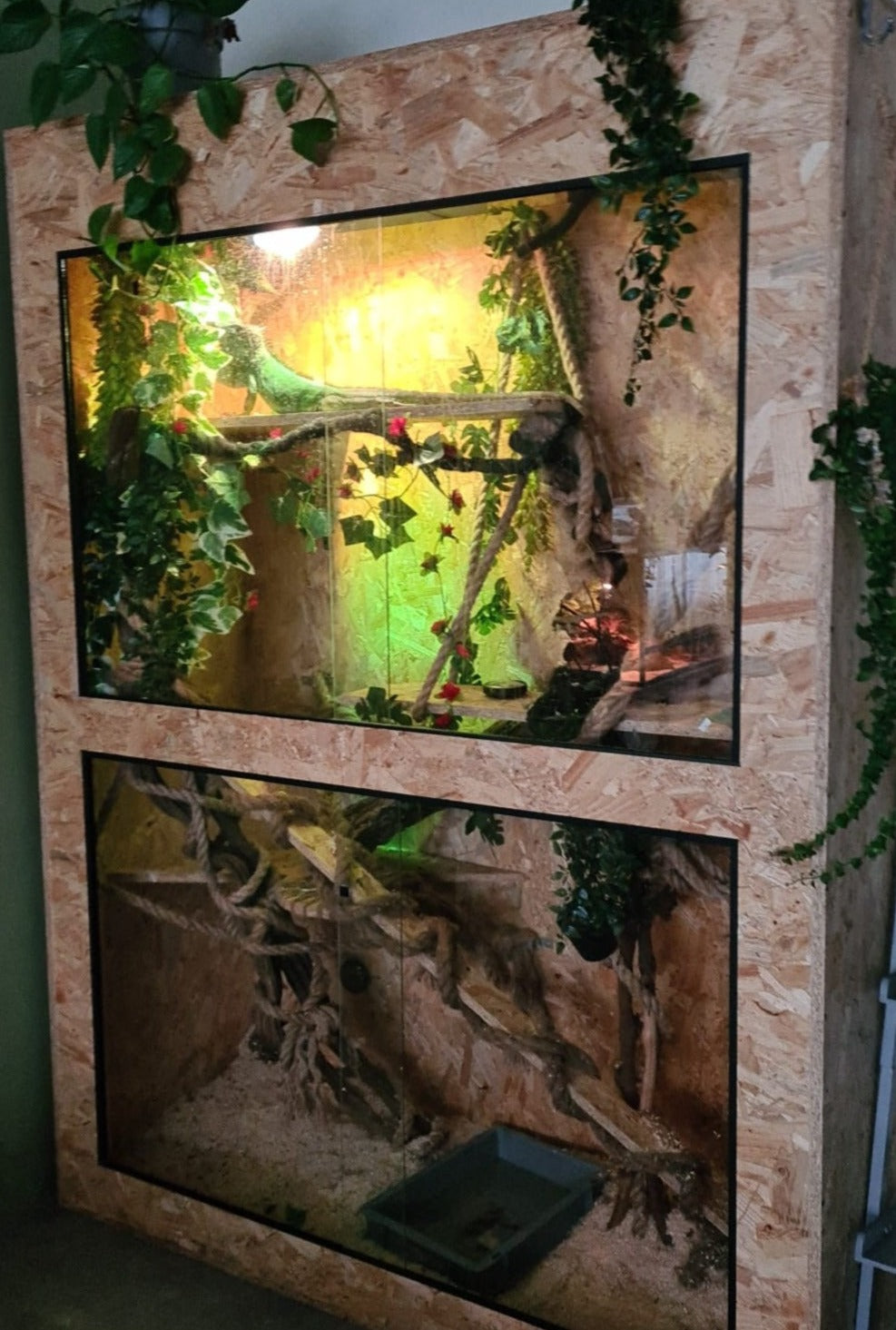 Reptielen terrarium OSB3